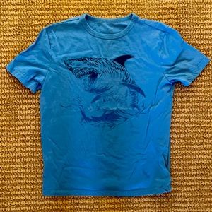 Boy GAP tee shirt